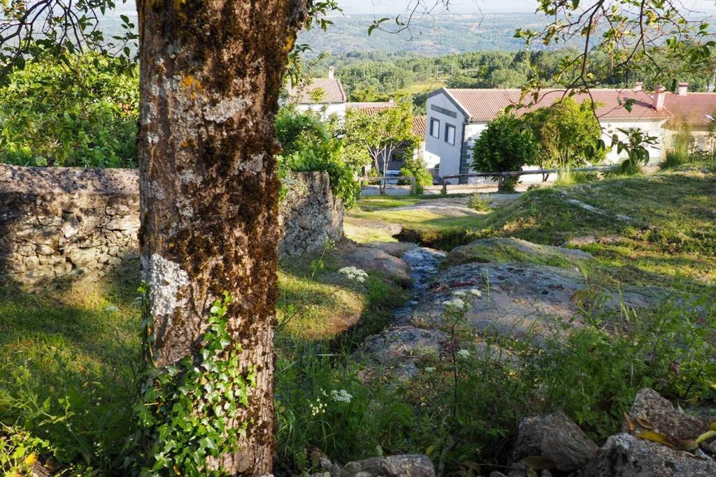 דירות Puerto de Béjar El Bosque De Los Romanos מראה חיצוני תמונה
