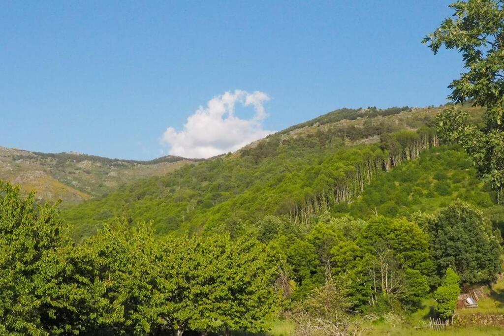 דירות Puerto de Béjar El Bosque De Los Romanos מראה חיצוני תמונה