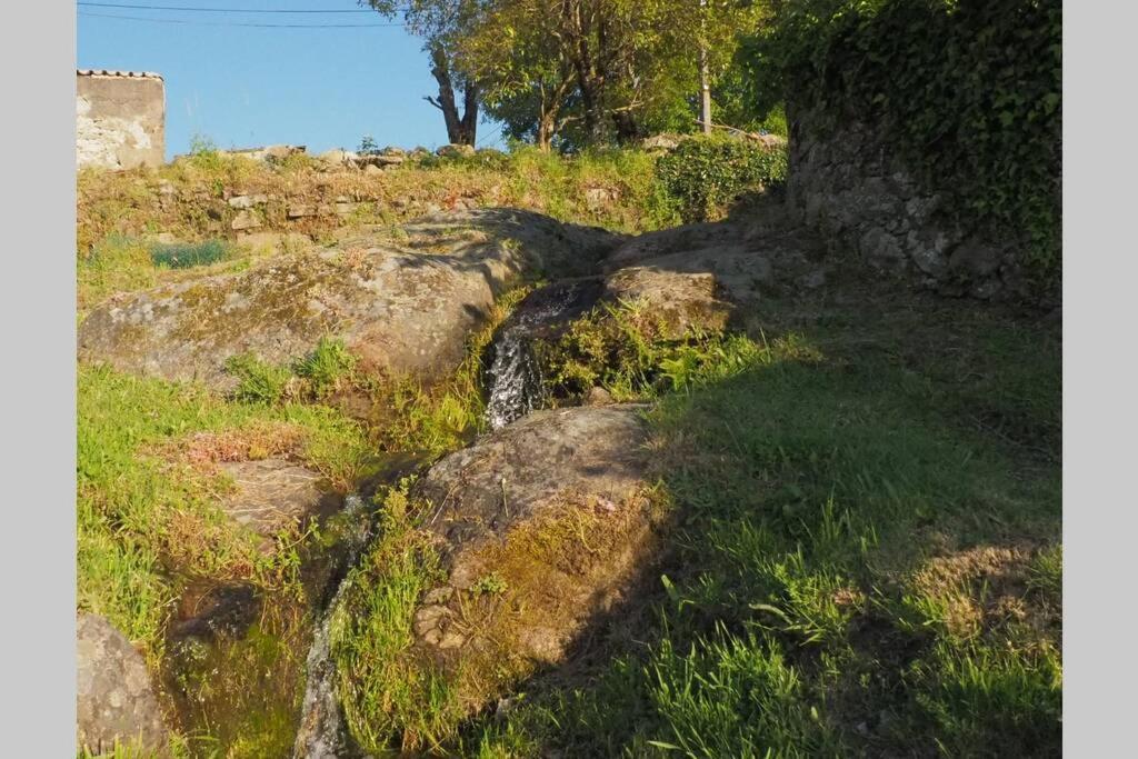 דירות Puerto de Béjar El Bosque De Los Romanos מראה חיצוני תמונה